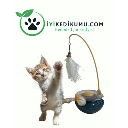 Petimas Evcil Hayvan Ürünleri | Mama, Kedi Kumu ve Aksesuar
