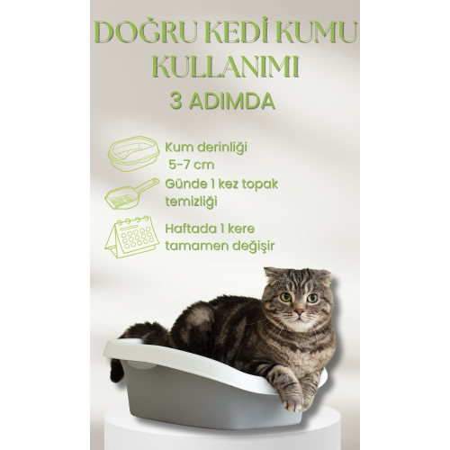 Petimas Evcil Hayvan Ürünleri