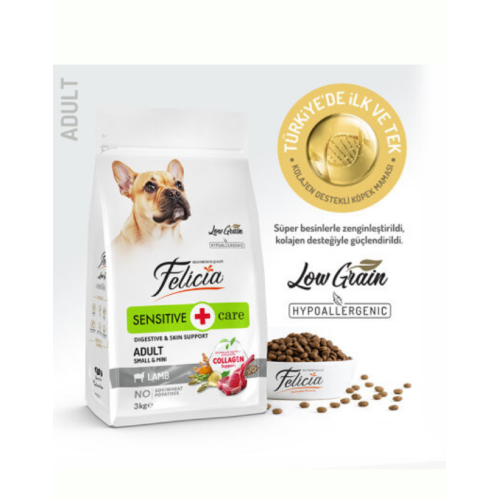 Petimas Evcil Hayvan Ürünleri | Mama, Kedi Kumu ve Aksesuar